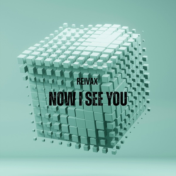 Now I See You - Single