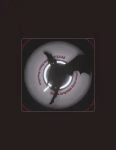 收听 RickSaylor、观看音乐视频、阅读小传、查看巡演日期等 ！