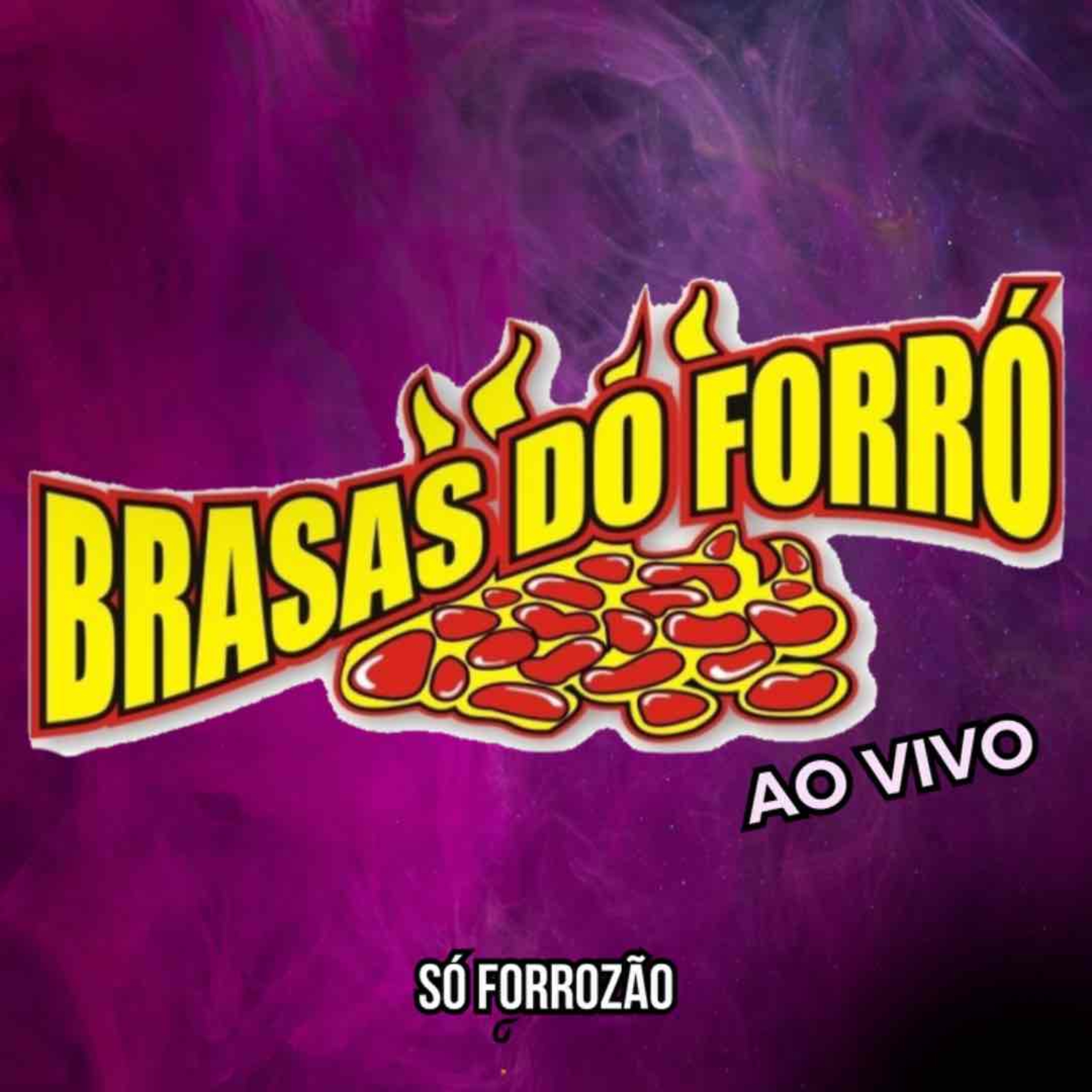 Só Forrozão (Ao Vivo)