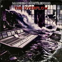 The Overflow (feat. HostileProd) - Single - Mad1ne