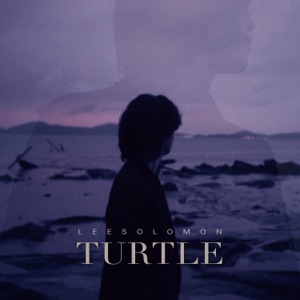 Turtle - Single