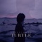 Turtle - Lee Solomon lyrics