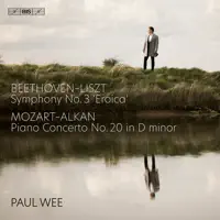 Piano Concerto No. 20 in D Minor, K. 466 : II. Romance — Paul Wee