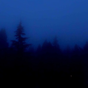 tired of trying - Single