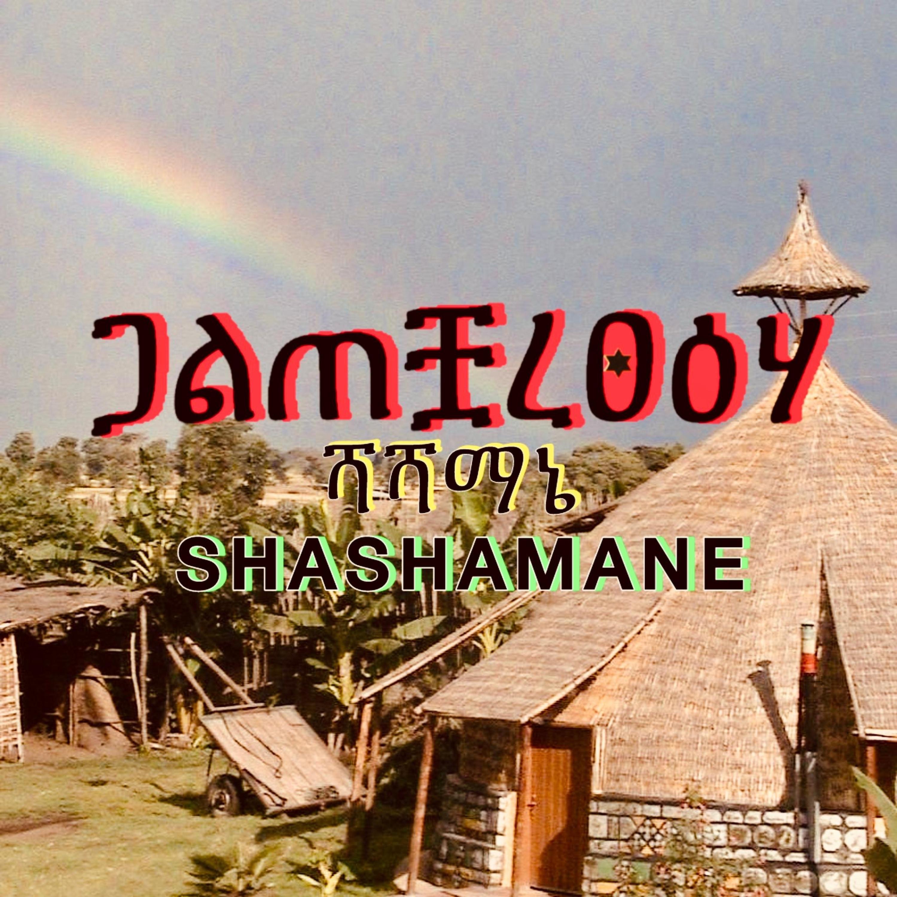 jamelody - shashamane