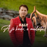 A jó kedv, a mulatás - Single - Kaly