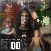 56DD3 - Jungle Muzik Larry