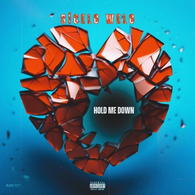 Holds Me Down - Single