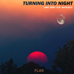 Turning Into Night - Single