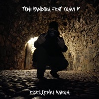 Edelleenki karua (feat. Olavi P) - Single - Toni Pandora