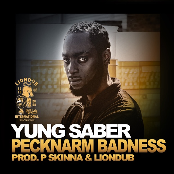 Pecknarm Badness - Single