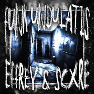 FUNK UNDULATIS - EP