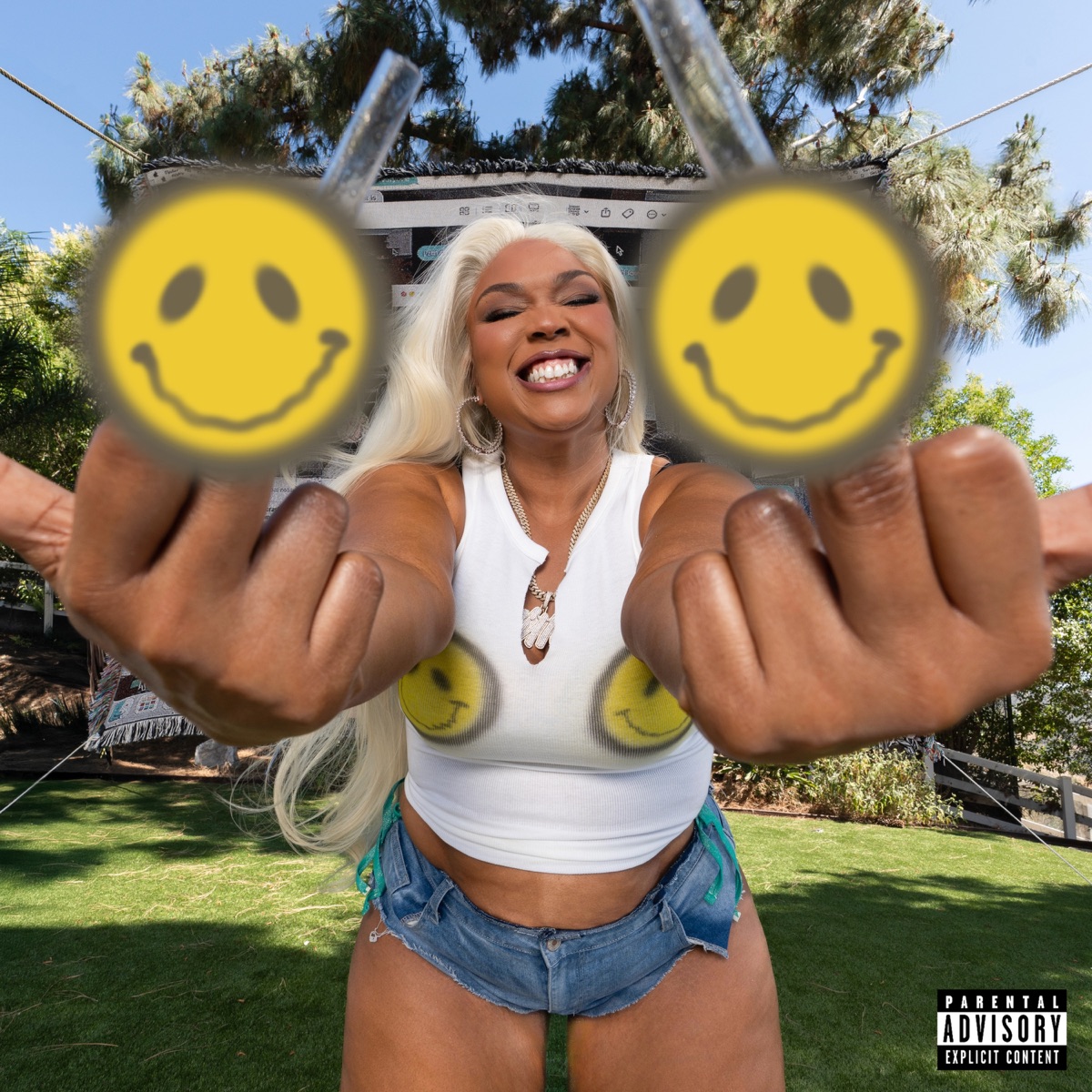 Lizzo - MY FACE HURTS FROM SMILING (2025) [iTunes Plus AAC M4A]-新房子