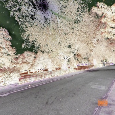 Move on (feat. nineninetekk & lil melo !) - Single