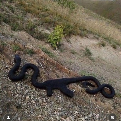 Up To Sumn (feat. GLIZZ) - Single