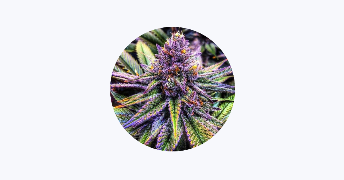Johnny Apple Zed - Apple Music