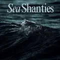 Bones in the Ocean