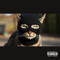 YDFU (Now) - Single - itmightnotwork & twogeebs