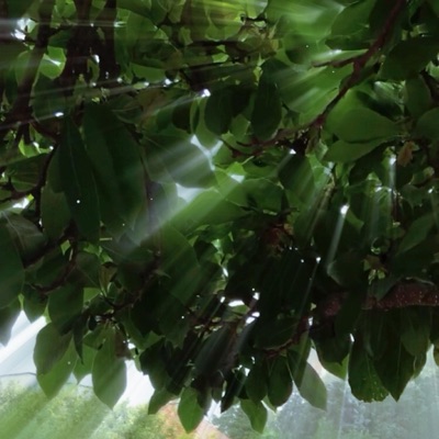 Písek, prach a pláč - Single