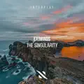 The Singularity