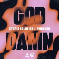 God Damn (Extended Mix) - Single - Stupid Goldfish & twoloud