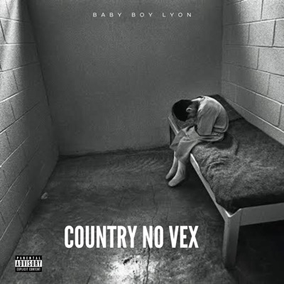 Country No Vex - Single