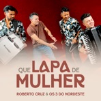 Que Lapa de Mulher - Single