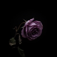 SENZA DI TE - Single - 4L_NINJA