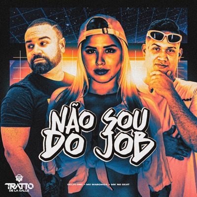 Não Sou do Job (feat. MK no Beat) - Single