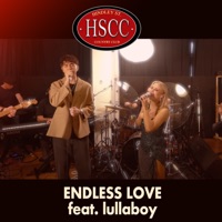 Endless Love (feat. lullaboy) - Single - Hindley Street Country Club