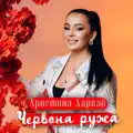 Червона ружа