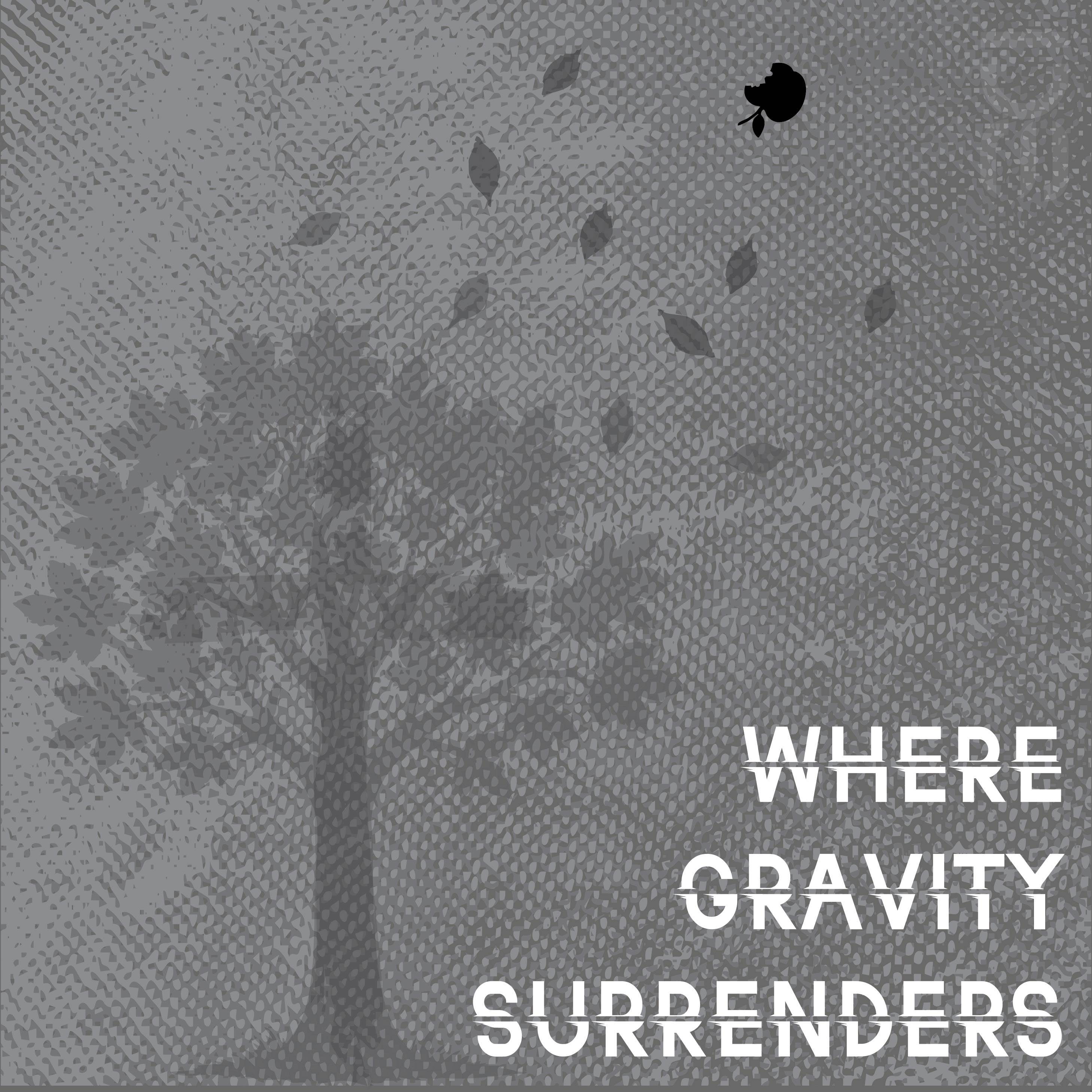 Where Gravity Surrenders