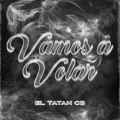 Vamos a Volar - Single