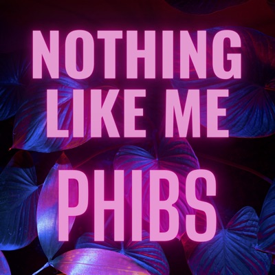 Nothing Like Me - Single