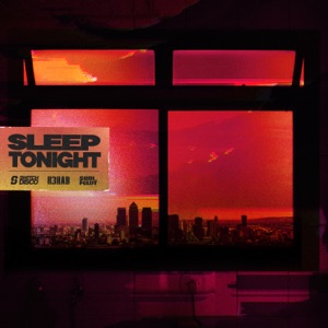 SLEEP TONIGHT (THIS IS THE LIFE) [Switch Disco VIP Mix] - Single