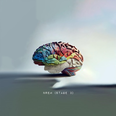 NREM (Stage 3) - EP