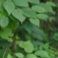 ghostgods. - Single - capsaisinner