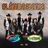 Banda MS de Sergio Lizarraga  Tucanes