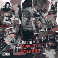 Valentino 2 - Single - MC Willian, DJ Japa NK, DJ DAVI DOGDOG & Vulgo FK