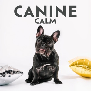 Canine Calm: Pet Hz Therapy for Anxiety Relief, Harmony and Peace, Animal Reiki