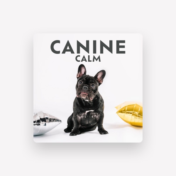 Dog Oasis's avatar