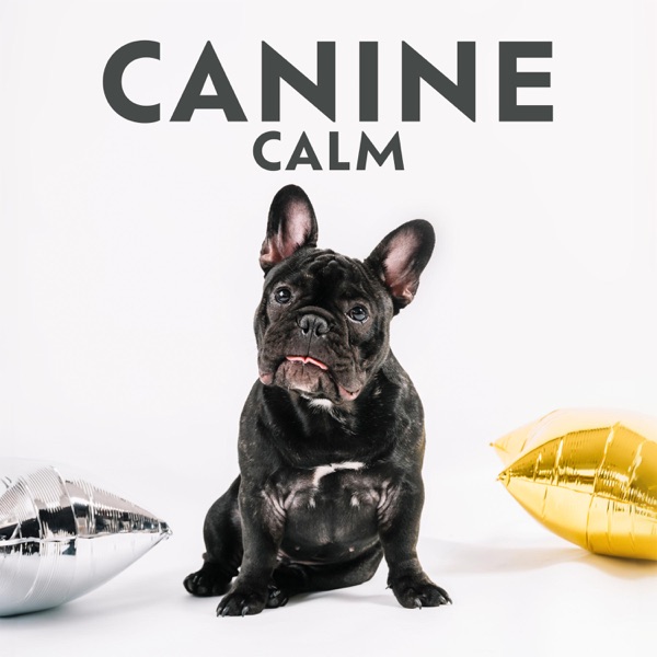 Canine Calm: Pet Hz Therapy for Anxiety Relief, Harmony and Peace, Animal Reiki