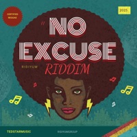 NO EXCUSE RIDDIM - Single - Ridiyum