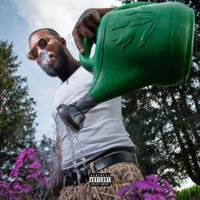 dont say wassup - Single - Jordan Burgett