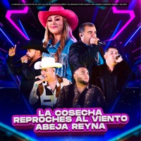 La Cosecha / Reproches al Viento / Abeja Reyna - EP - La Banda Que Hacía Falta, Nico Flores y Su Banda Puro Mazatlán, Zitliali Nuñez, Jorge Cordero & Israel Valdez