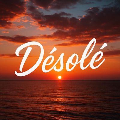 Désolé - Single