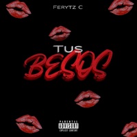 Tus Besos - Single - Ferytz C
