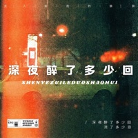 深夜醉了多少回(兄弟版) - Single - 孙星辰, 王虹-王棚主, 烟嗓船长 & 小云-满羿名车