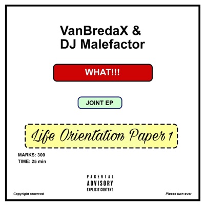 Life Orientation Paper 1 (feat. DJ Malefactor)
