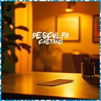 Desculpa Caetano (feat. SanDiego) - Single - Diamante ZL, TypeHet & Menor revolta